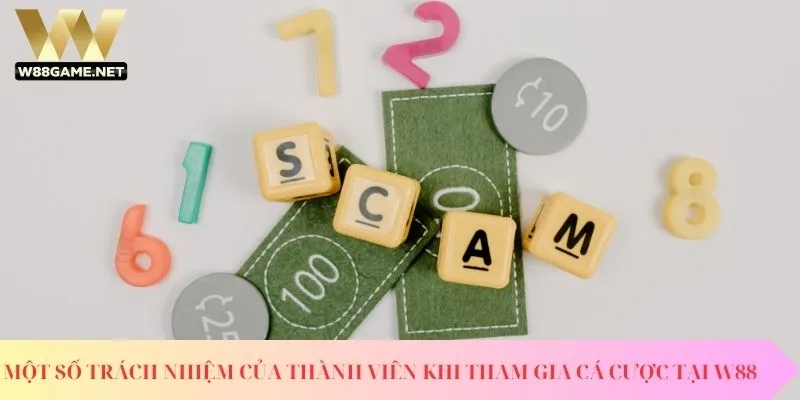 Chính sách bảo mật - Bảo vệ thông tin người dùng an toàn 3 Một số trách nhiệm của thành viên khi tham gia cá cược tại W88